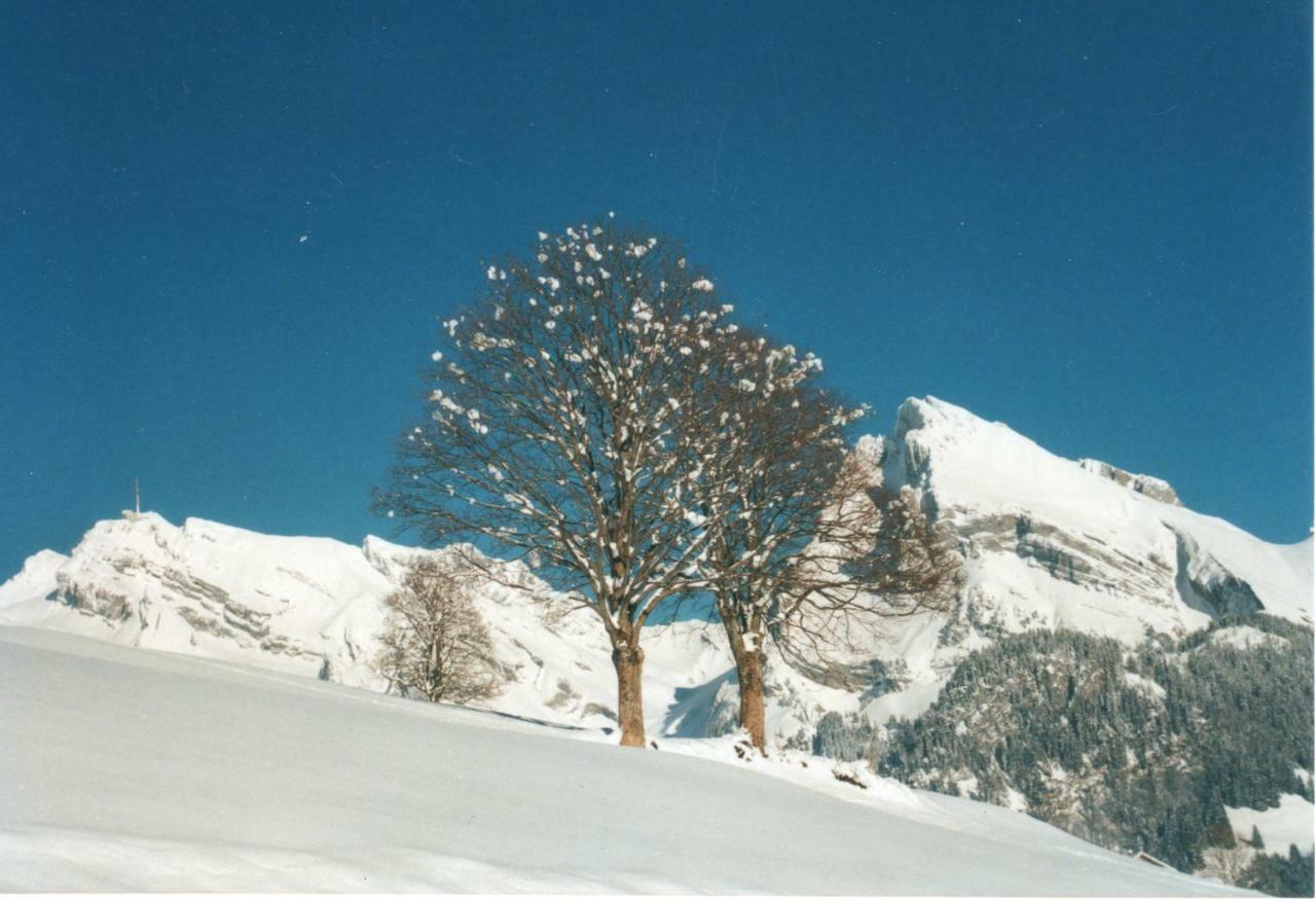 Ferienhaus Gubel Alt St. Johann Exteriér fotografie